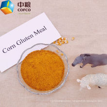 Poultry Animal Feed 60% Corn Gluten Meal Powder